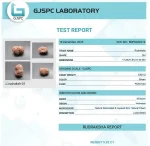 15 Mukhi Certificate