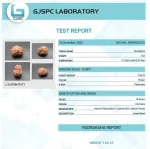 15 Mukhi Certificate