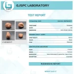 15 Mukhi Certificate