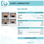 15 Mukhi Certificate