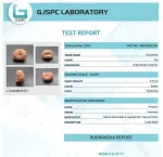 15 Mukhi Certificate