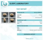 15 Mukhi Certificate