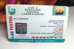 16 Mukhi Certificate