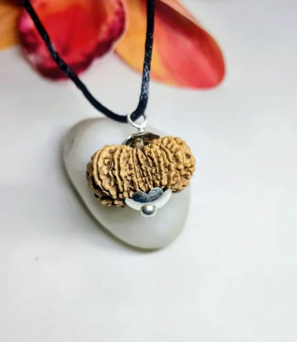 16 Mukhi Rudraksha