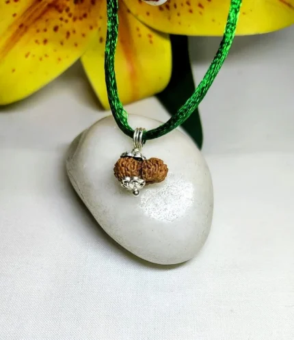 19 Mukhi Rudraksha