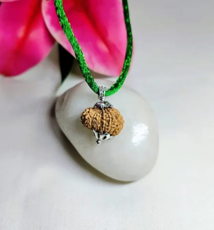 19 Mukhi Rudraksha