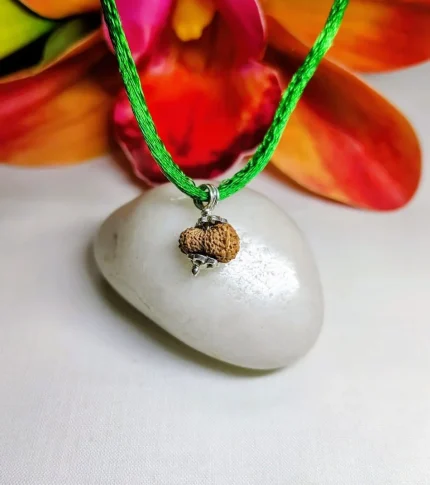 19 Mukhi Rudraksha