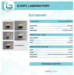 19 Mukhi Certificate