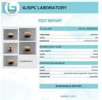 19 Mukhi Certificate