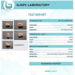 19 Mukhi Certificate