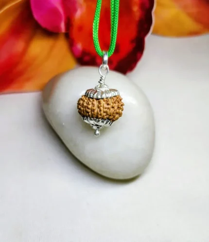 15 Mukhi Rudraksha