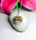 15 Mukhi Rudraksha