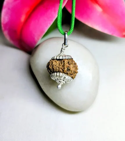 15 Mukhi Rudraksha