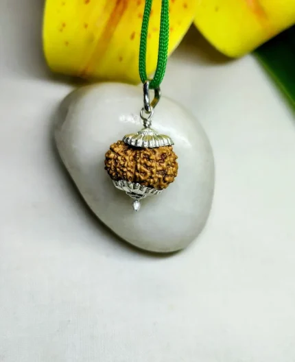 15 Mukhi Rudraksha