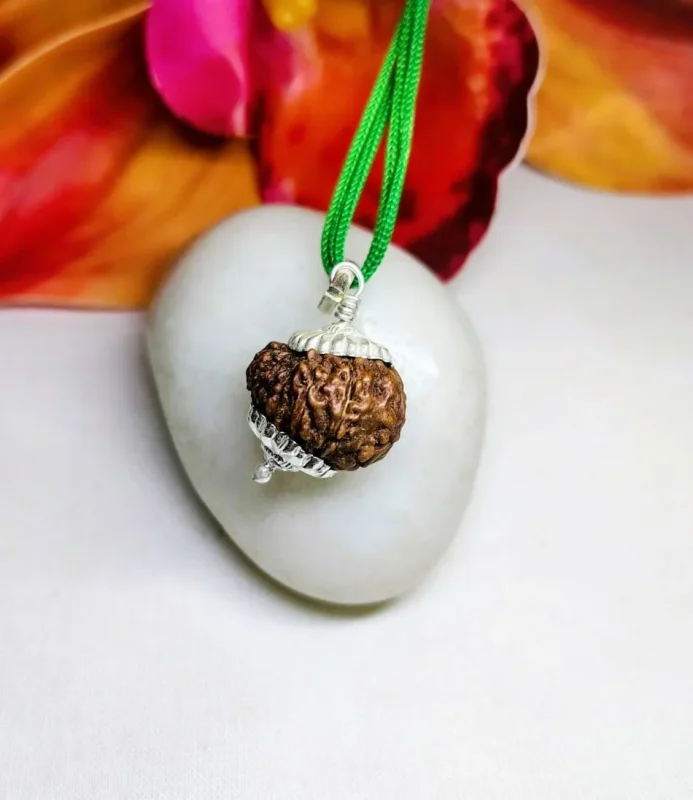 15 Mukhi Rudraksha