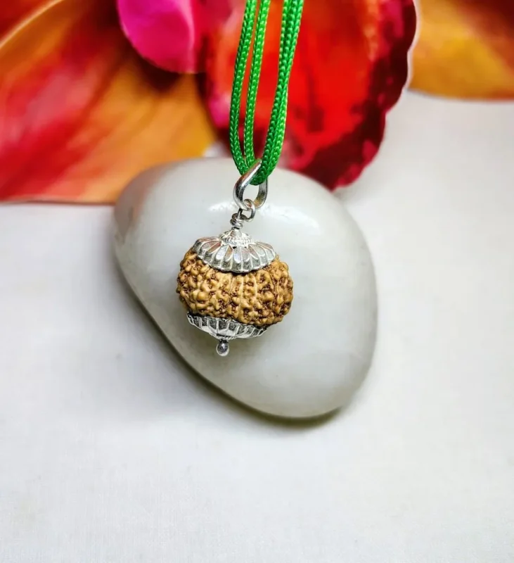 15 Mukhi Rudraksha