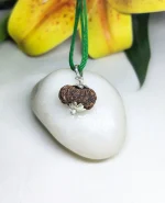 15 Mukhi Rudraksha