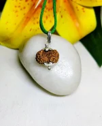 15 Mukhi Rudraksha