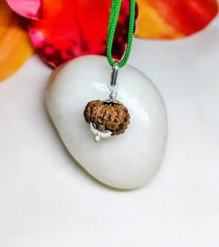 15 Mukhi Rudraksha