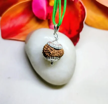 15 Mukhi Rudraksha