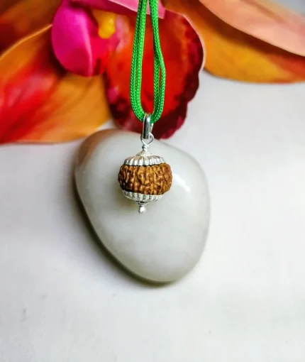15 Mukhi Rudraksha