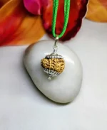 15 Mukhi Rudraksha