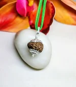 15 Mukhi Rudraksha