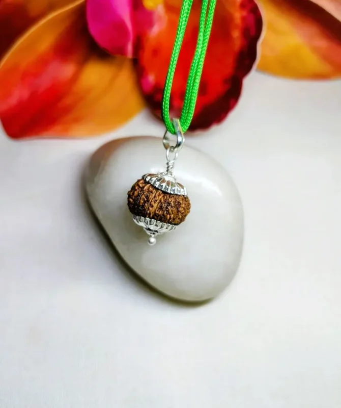 15 Mukhi Rudraksha