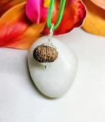 15 Mukhi Rudraksha