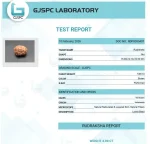 15 Mukhi Certificate