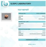 15 Mukhi Certificate