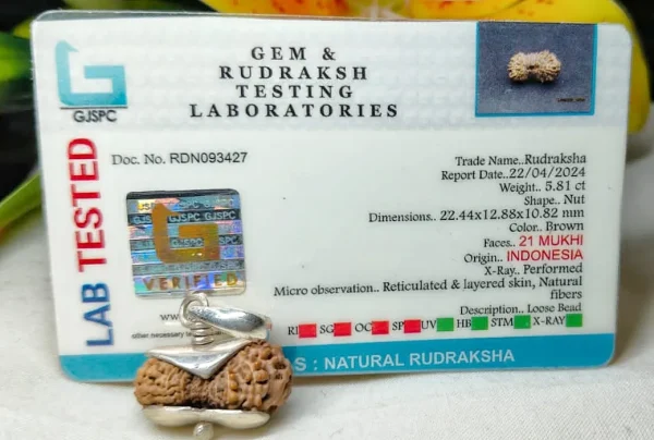 21 Mukhi Certificate
