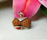 21 Mukhi Rudraksha