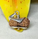 21 Mukhi Rudraksha