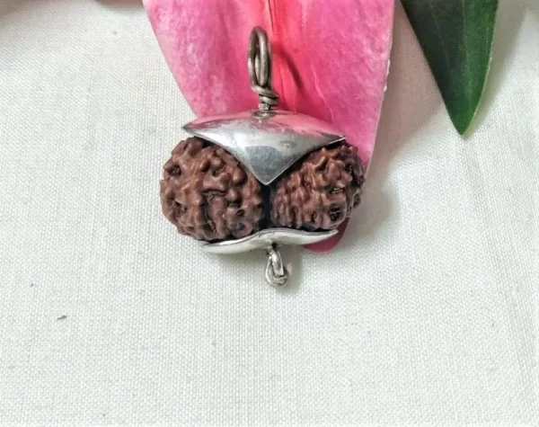 21 Mukhi Rudraksha
