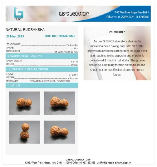 21 Mukhi Certificate