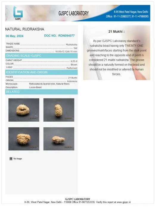 21 Mukhi Certificate
