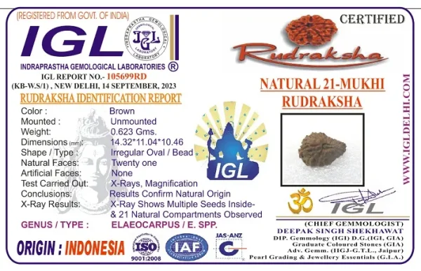 21 Mukhi Rudraksha