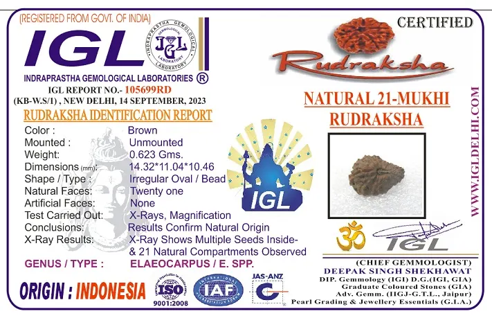 21 Mukhi Rudraksha