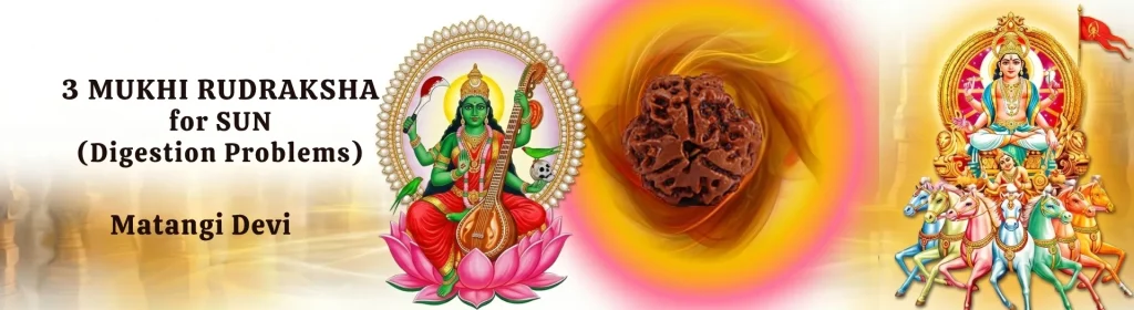 3 MUKHI RUDRAKSHA banner