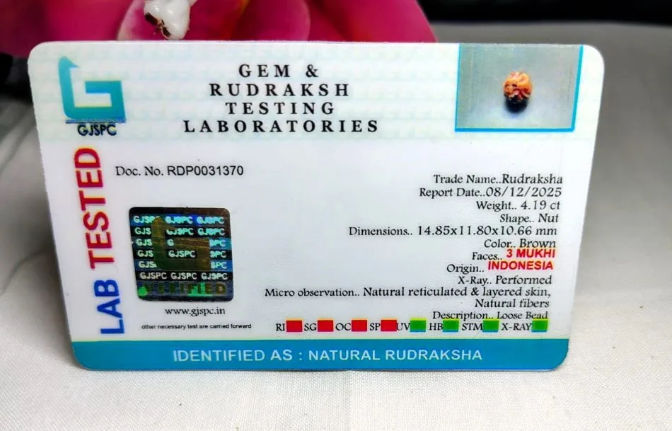 3 Mukhi Certificate