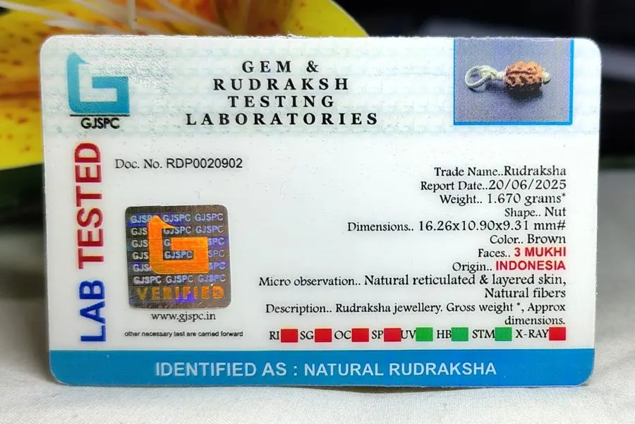 3 Mukhi Certificate