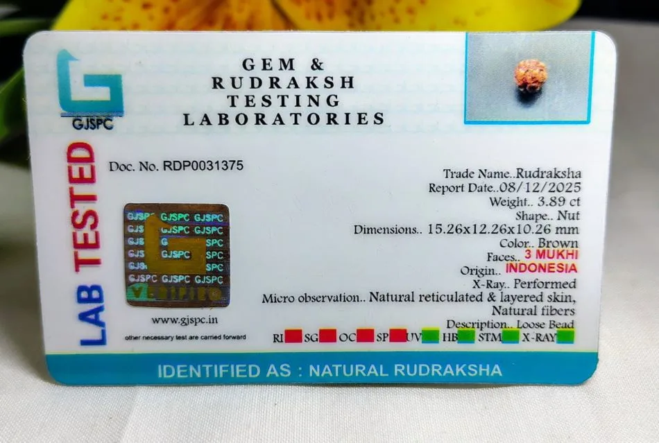 3 Mukhi Certificate