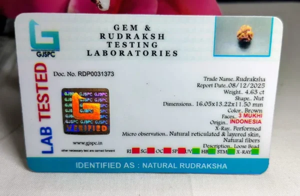 3 Mukhi Certificate