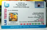 3 Mukhi Certificate