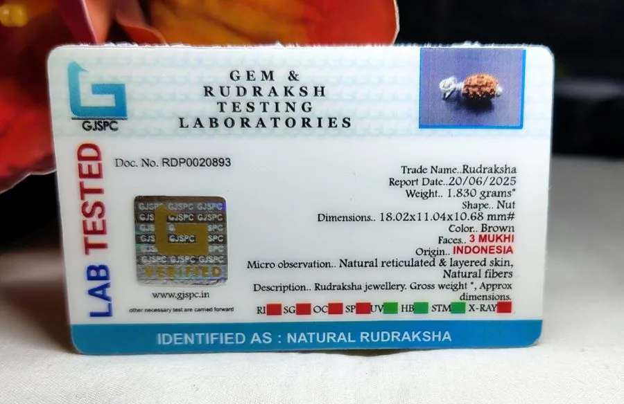 3 Mukhi Certificate