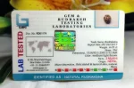 3 Mukhi Certificate