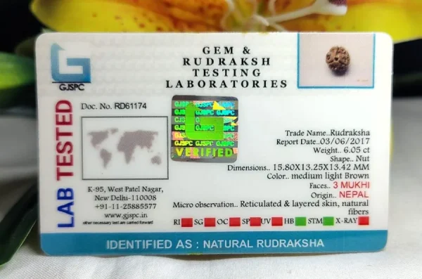 3 Mukhi Certificate