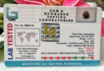 3 Mukhi Certificate