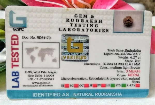 3 Mukhi Certificate